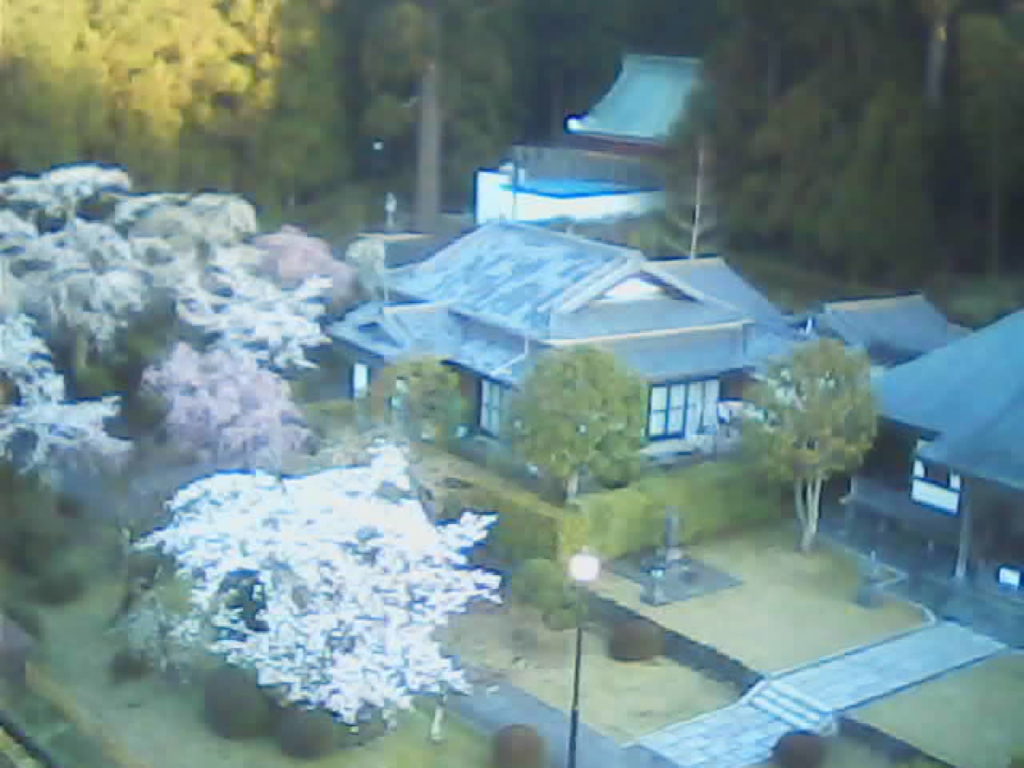 北西にある蓮蔵坊を南東から俯瞰